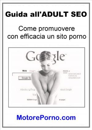 Cover of the book Guida all'ADULT SEO by Barry Silverstein