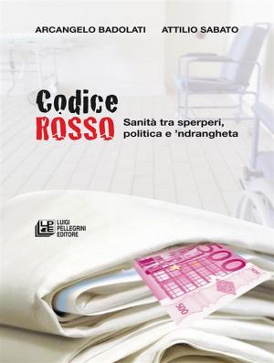 Cover of the book CODICE ROSSO. Sanità tra sperperi, politica e 'ndrangheta by Antonio Siinardi