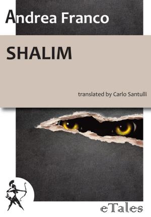 Cover of the book Shalim by Leonardo Caffo