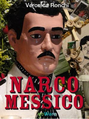 Cover of the book NARCOMESSICO. Narcopolitica, il Messico, l'economia, il narcotraffico by Claudia Riconda