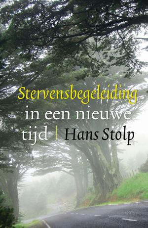 Cover of the book Stervensbegeleiding in een nieuwe tijd by Laura Frantz, Julie Klassen