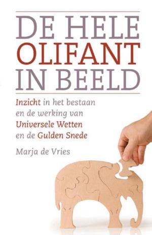 Cover of the book De hele olifant in beeld by Hans Stolp, Margarete van den Brink