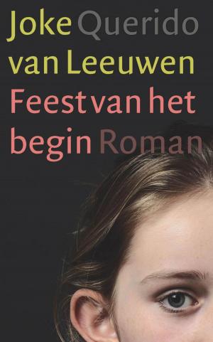 Cover of the book Feest van het begin by Atte Jongstra