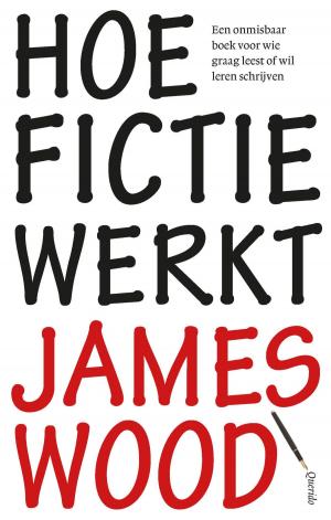 Cover of the book Hoe fictie werkt by Kristien Hemmerechts