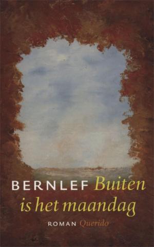 Cover of the book Buiten is het maandag by Pauline Genee