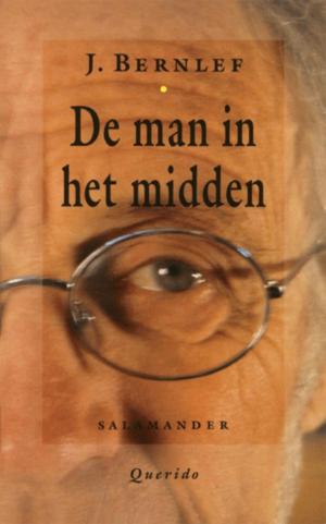 Cover of the book Man in het midden by Daan Remmerts De Vries