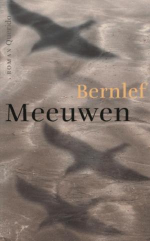 Cover of the book Meeuwen by Toon Tellegen