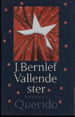 Cover of the book Vallende ster by Toon Tellegen