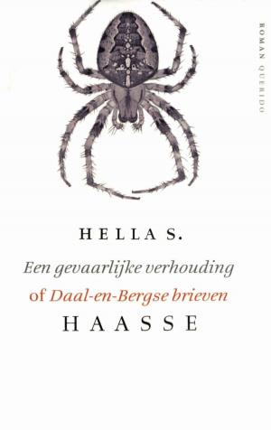 Cover of the book Gevaarlijke verhouding by Annet de Jong