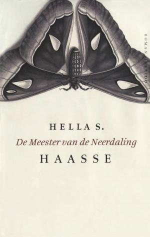 Cover of the book De meester van de neerdaling by Karl Ove Knausgård