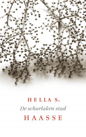 Cover of the book De scharlaken stad by Wanda Bommer