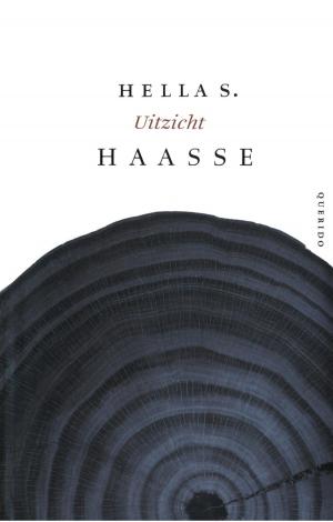Cover of the book Uitzicht by Toon Tellegen