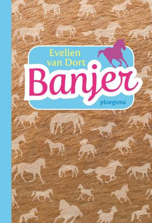 Cover of the book Banjer by Mirjam Oldenhave
