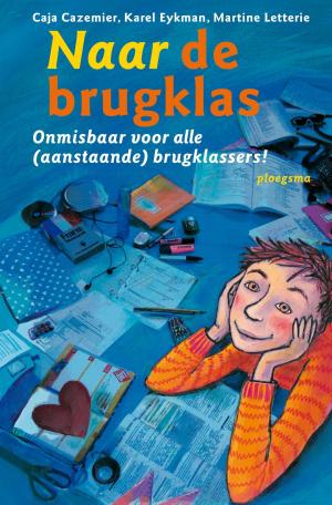 Cover of the book Naar de brugklas by Gerard van Gemert, Jara Brugman