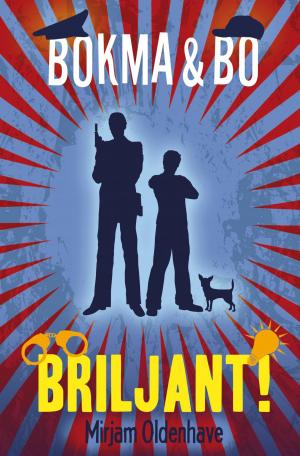 Cover of the book Briljant! by Karen van Holst Pellekaan
