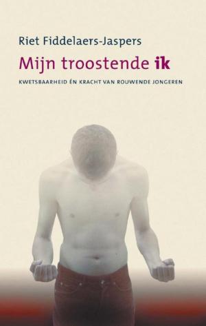 Cover of the book Mijn troostende ik by CG Vreugdenhil