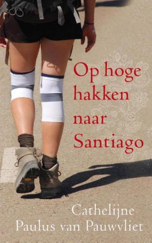 Cover of the book Op hoge hakken naar Santiago by Julia Burgers-Drost