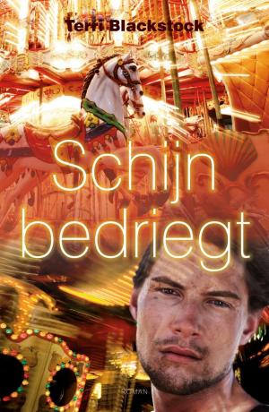 Cover of the book Schijn bedriegt by Steve Berry