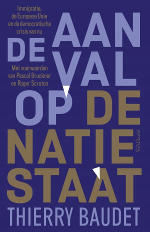 Cover of the book De aanval op de natiestaat by Jef Geeraerts