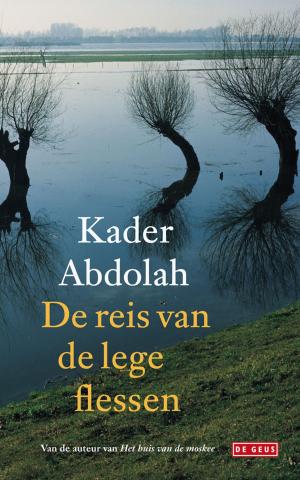 Cover of the book De reis van de lege flessen by Hilde Vandermeeren