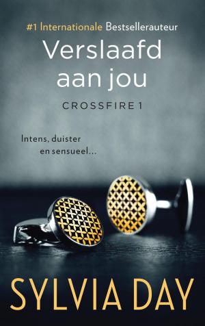 Cover of the book Verslaafd aan jou by Peter Robinson