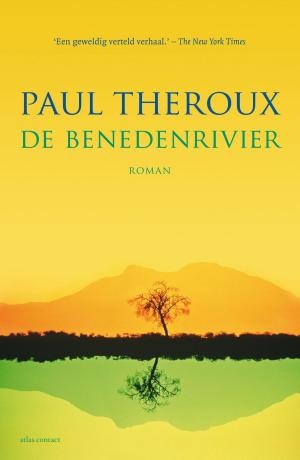 Cover of the book De benedenrivier by Rob van Essen