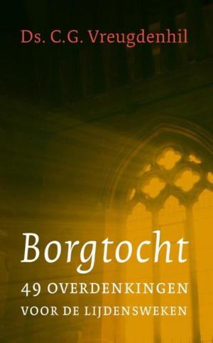 Cover of the book Borgtocht by James Carol