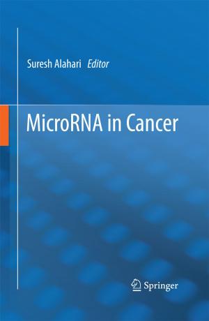Cover of the book MicroRNA in Cancer by Dmitri Fursaev, Dmitri Vassilevich