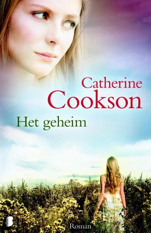 Book cover of Het geheim