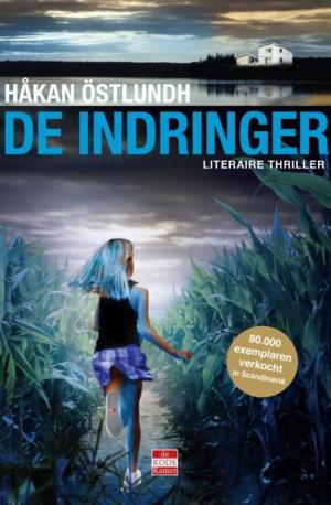 Cover of the book De indringer by Gerda van Wageningen
