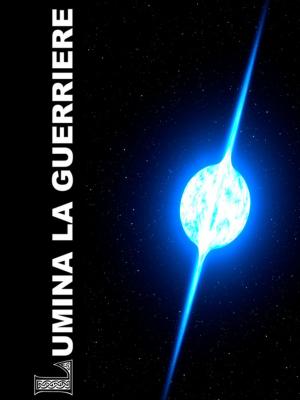 Cover of the book Lumina la guerrière by Robert Christian Schmitte