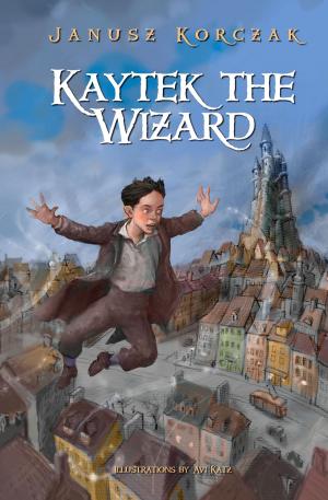 Book cover of Kaytek the Wizard