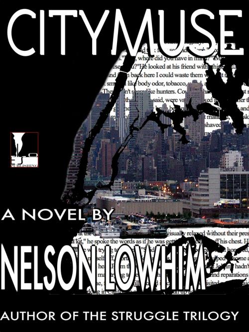 Cover of the book CityMuse by Nelson Lowhim, Eiso Publishing