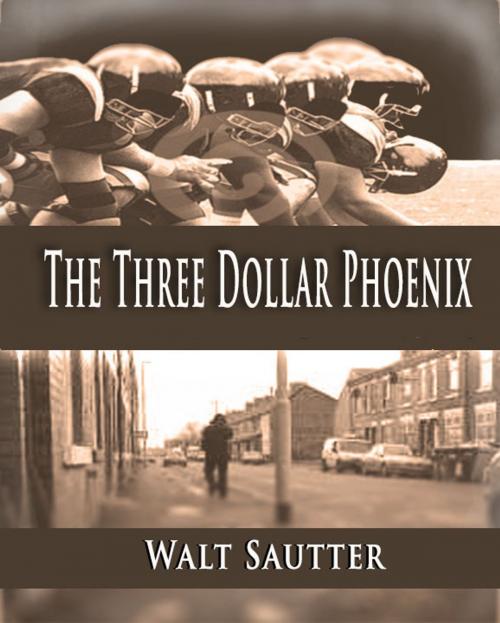 Cover of the book The Three Dollar Phoenix by walt sautter, Walt S