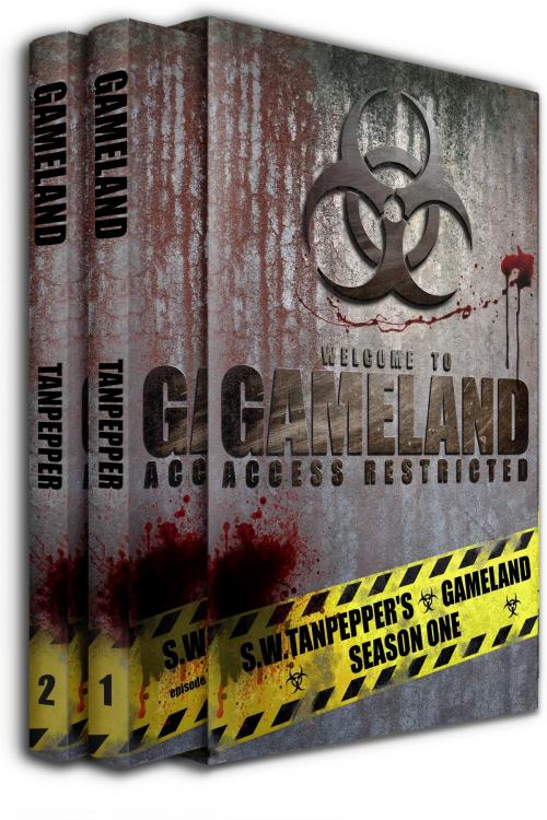 Cover of the book Deep Into the Game + Failsafe: S.W. Tanpepper's GAMELAND by Saul Tanpepper, Brinestone Press