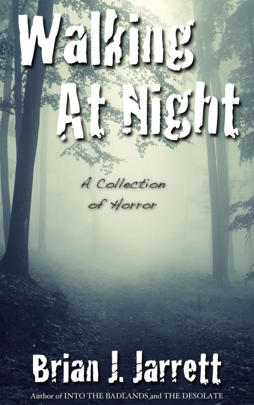 Cover of the book Walking At Night by Brian J. Jarrett, Elegy Publishing, LLC