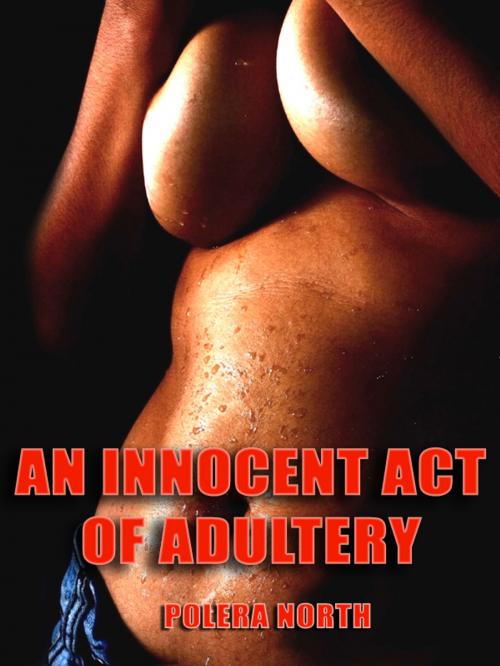 Cover of the book An Innocent Act of Adultery by Polera North, Polera North