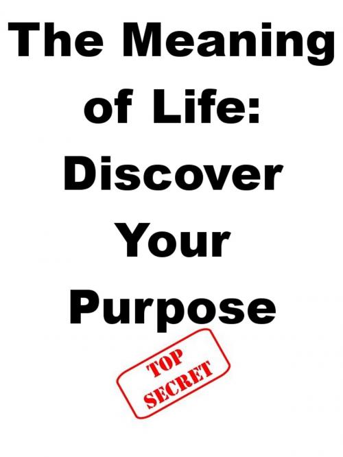 Cover of the book The Meaning of Life: Discover Your Purpose by Steve Pavlina, Joe Abraham, Tabularasa Slovenia