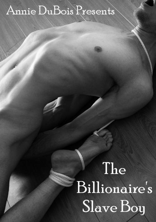 Cover of the book The Billionaire's Slave Boy by Annie DuBois, Annie DuBois Erotic Fiction