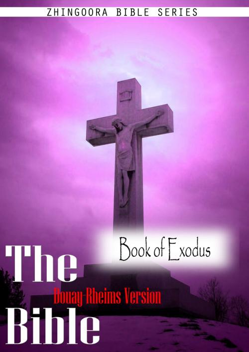 Cover of the book The Holy Bible Douay-Rheims Version,Book of Exodus by Zhingoora Bible series, Zhingoora Bible series