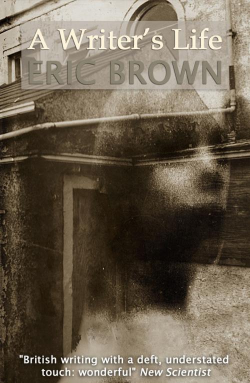 Cover of the book A Writer's Life by Eric Brown, infinity plus