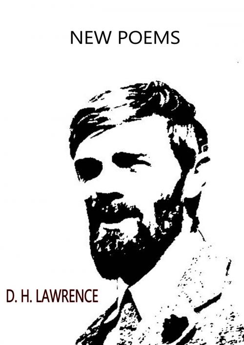 Cover of the book New Poems by D. H. Lawrence, Zhingoora Books