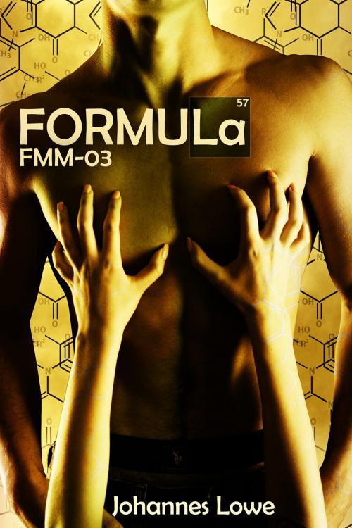Cover of the book Formula FMM-03 by Johannes Lowe, little brown bag books