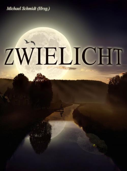 Cover of the book Zwielicht 1 by Michael Schmidt, Der ErnstFall MS