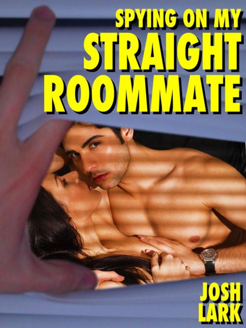 Cover of the book Spying on my Straight Roommate by Josh Lark, Josh Lark