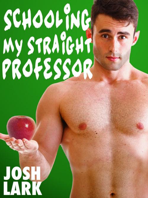 Cover of the book Schooling my Straight Professor by Josh Lark, Josh Lark