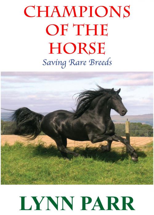 Cover of the book Champions of the Horse by Lynn Parr, Southwind