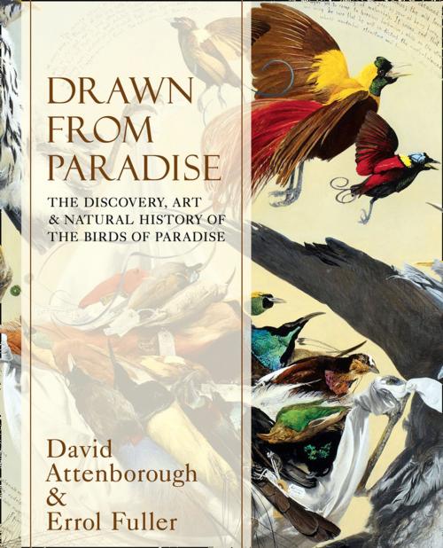 Cover of the book Drawn From Paradise: The Discovery, Art and Natural History of the Birds of Paradise by Sir David Attenborough, Errol Fuller, HarperCollins Publishers