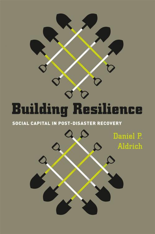 Cover of the book Building Resilience by Daniel P. Aldrich, University of Chicago Press
