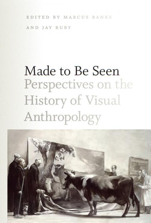 Cover of the book Made to Be Seen by , University of Chicago Press